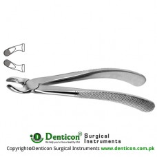 English Pattern Tooth Extracting Forcep (Child) Fig. 157 (For Upper Molars) Stainless Steel, Standard